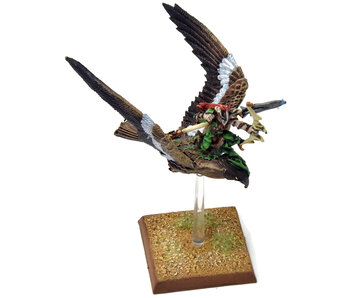WOOD ELVES Warhawk Rider #6 PRO PAINTED METAL Fantasy