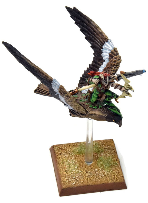 WOOD ELVES Warhawk Rider #6 PRO PAINTED METAL Fantasy