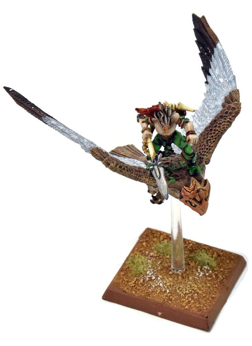 WOOD ELVES Warhawk Rider #2 PRO PAINTED METAL Fantasy