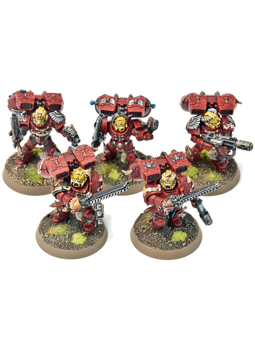 BLOOD ANGELS 5 Vanguard Veteran Squad #14 PRO PAINTED Warhammer 40K