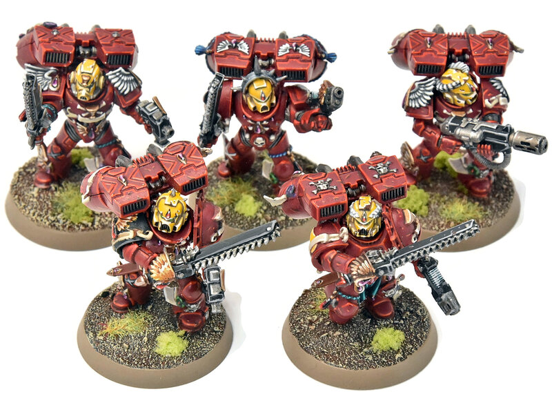 Games Workshop BLOOD ANGELS 5 Vanguard Veteran Squad #14 PRO PAINTED Warhammer 40K