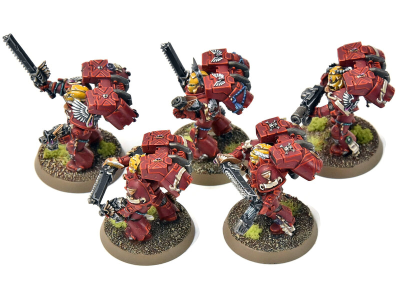 Games Workshop BLOOD ANGELS 5 Vanguard Veteran Squad #14 PRO PAINTED Warhammer 40K