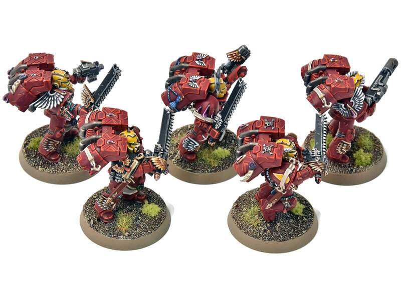 Games Workshop BLOOD ANGELS 5 Vanguard Veteran Squad #14 PRO PAINTED Warhammer 40K