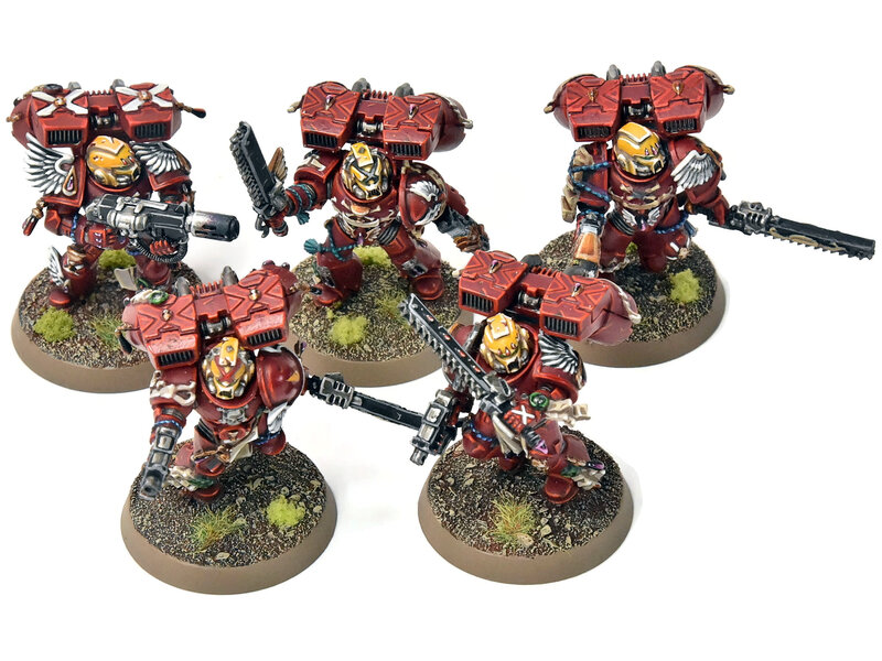 Games Workshop BLOOD ANGELS 5 Vanguard Veteran Squad #13 PRO PAINTED Warhammer 40K