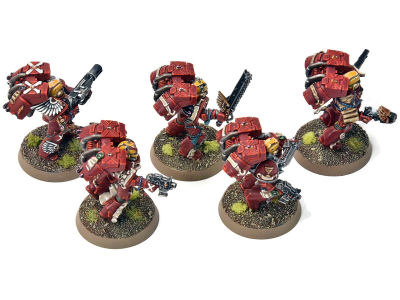 Games Workshop BLOOD ANGELS 5 Vanguard Veteran Squad #13 PRO PAINTED Warhammer 40K