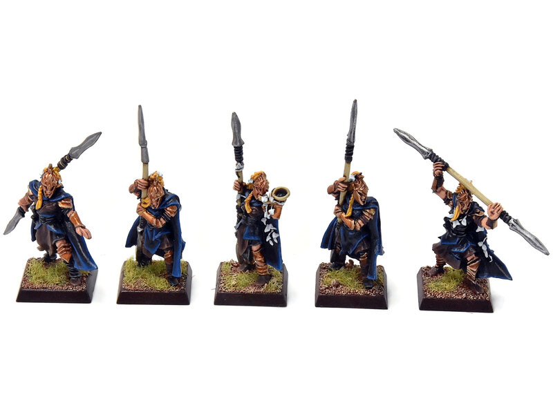 Games Workshop WOOD ELVES 5 Eternal Guards #4 METAL PRO PAINTED Fantasy