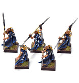 Games Workshop WOOD ELVES 5 Eternal Guards #5 METAL PRO PAINTED Fantasy