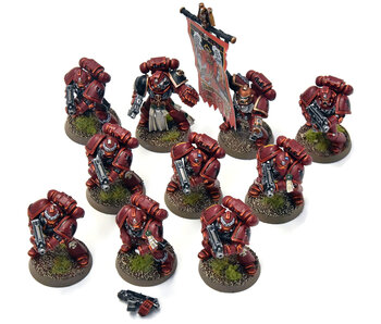 BLOOD ANGELS 10 Tactical marines #1 METAL PRO PAINTED Warhammer 40K