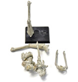 Games Workshop AELDARI War Walker OOP #1 METAL Warhammer 40K