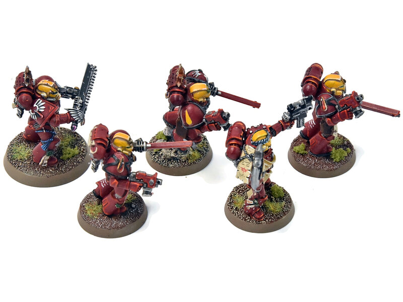 Games Workshop BLOOD ANGELS 5 Sternguard Veterans #4 With Metal Bits PRO PAINTED Warhammer 40K