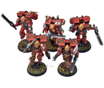 BLOOD ANGELS 5 Sternguard Veterans With Jump Pack #41 METAL WELL PAINTED 40K