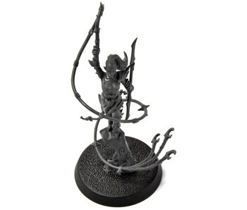 DAUGHTERS OF KHAINE High Gladiatrix #1 Sigmar