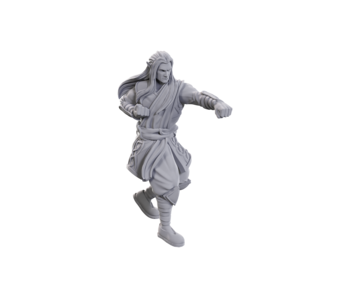 D&D Unpainted Minis WV24 Archdruid & Martial Arts Adept