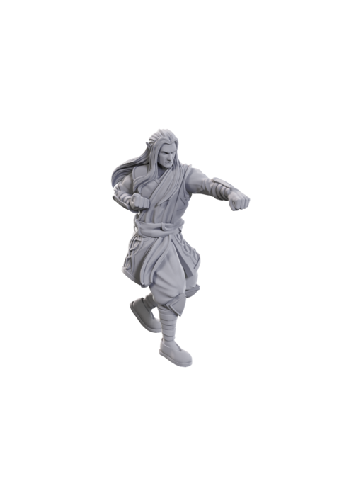 D&D Unpainted Minis WV24 Archdruid & Martial Arts Adept