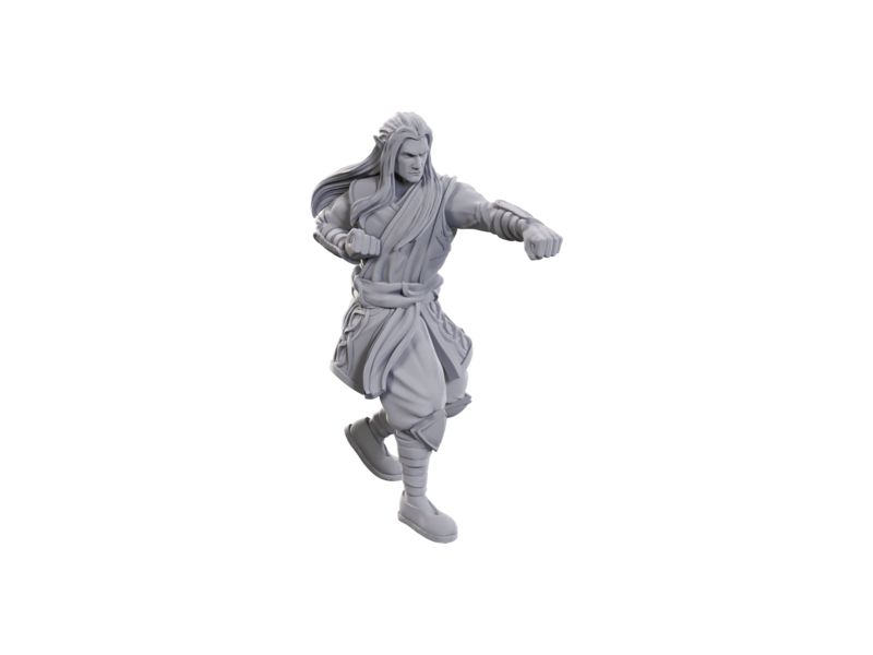 Wizkids D&D Unpainted Minis WV24 Archdruid & Martial Arts Adept