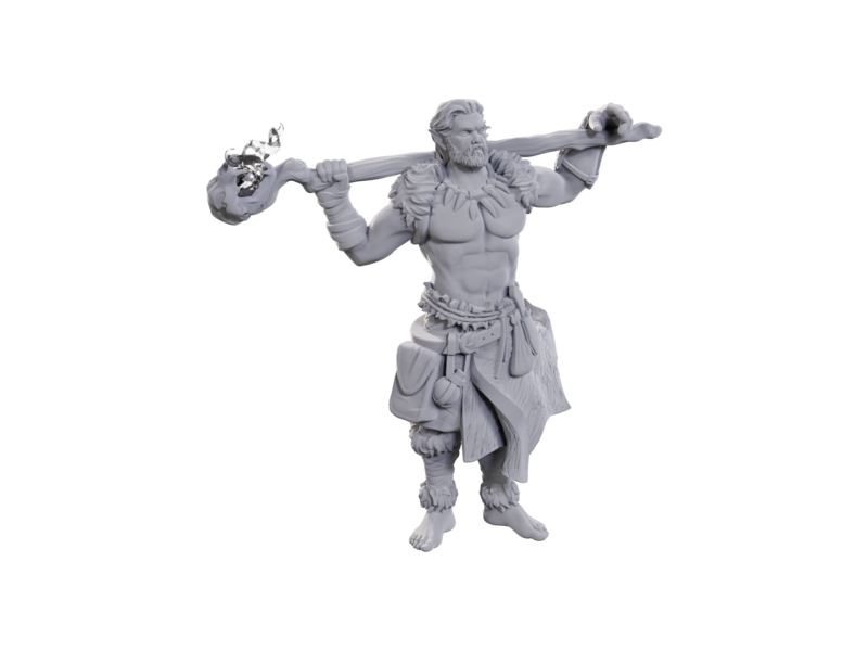 Wizkids D&D Unpainted Minis WV24 Archdruid & Martial Arts Adept