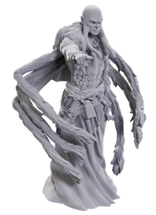 D&D Unpainted Minis WV24 Kraken Priest