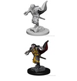 Wizkids D&D Unpainted Minis Wv1 Vampires