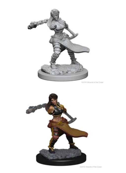 D&D Unpainted Minis Wv1 Human Female Monk
