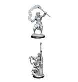 Wizkids D&D Unpainted Minis Wv13 Firbolg Druid Female