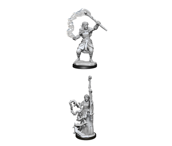 D&D Unpainted Minis Wv13 Firbolg Druid Female