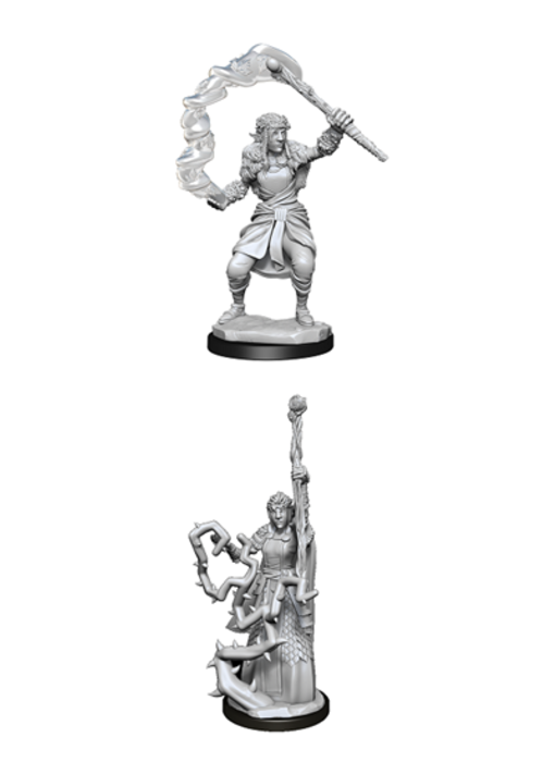 D&D Unpainted Minis Wv13 Firbolg Druid Female