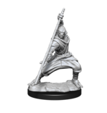 Wizkids D&D Unpainted Minis Wv14 Warforged Monk
