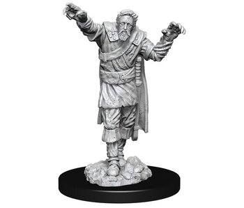 D&D Unpainted Minis Wv14 Scarecrow/Stone Cursed