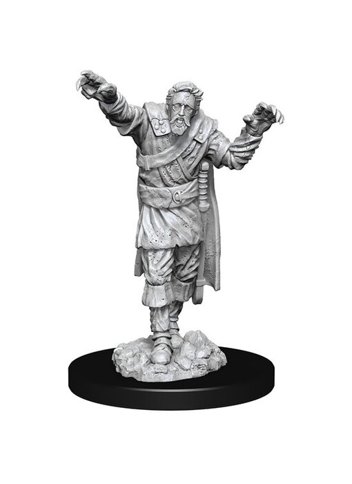 D&D Unpainted Minis Wv14 Scarecrow/Stone Cursed