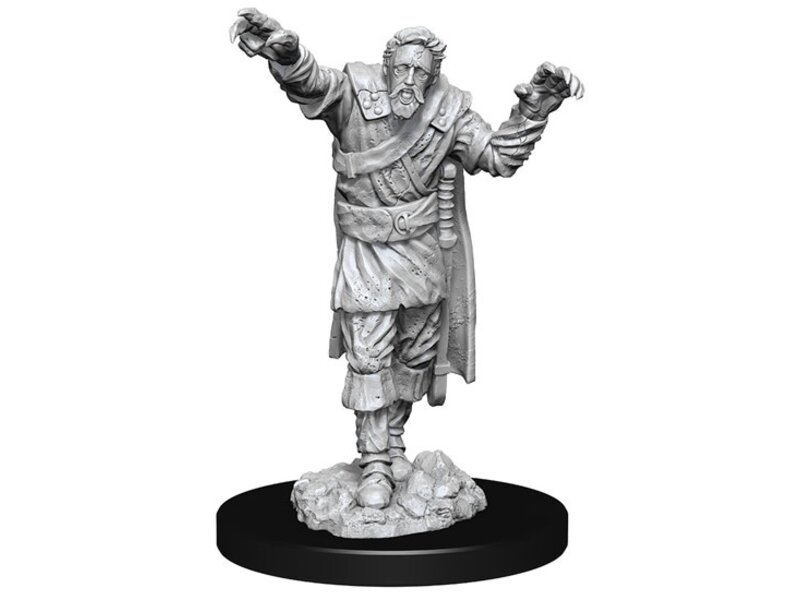 Wizkids D&D Unpainted Minis Wv14 Scarecrow/Stone Cursed