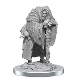 Wizkids D&D Nolzur’s Marvelous Miniatures - Wereravens