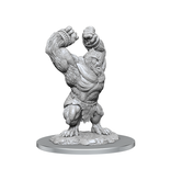 Wizkids D&D Unpainted Minis Wv21 Barlgura