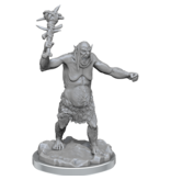 Wizkids D&D Unpainted Minis Wv21 Grimlocks