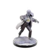 Wizkids D&D Unpainted Minis Wv22 Reborn Paladin/warlock