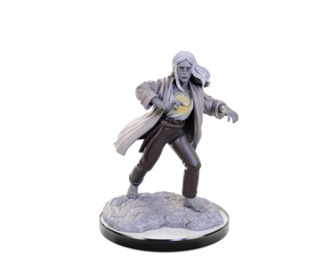 D&D Unpainted Minis Wv22 Reborn Paladin/warlock