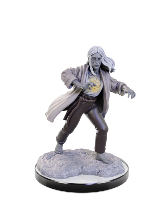 D&D Unpainted Minis Wv22 Reborn Paladin/warlock