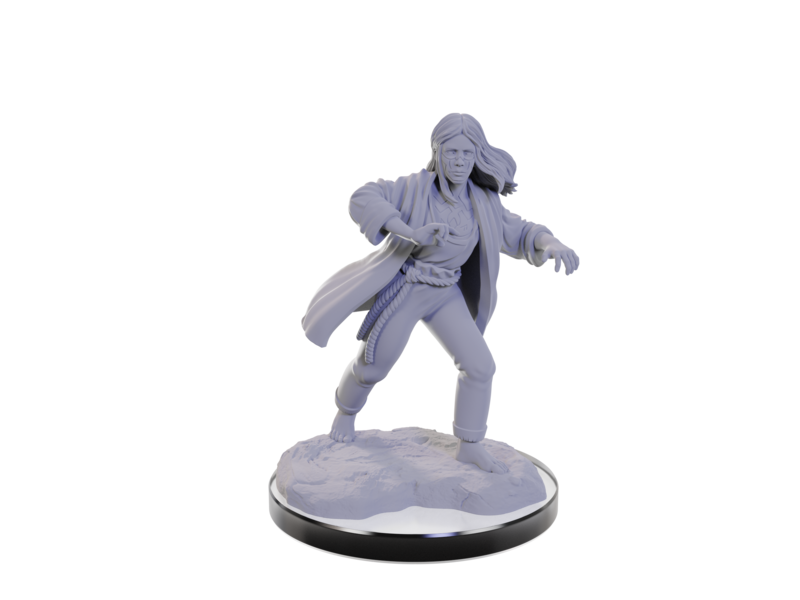Wizkids D&D Unpainted Minis Wv22 Reborn Paladin/warlock
