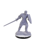 Wizkids D&D Unpainted Minis Wv22 Reborn Paladin/warlock
