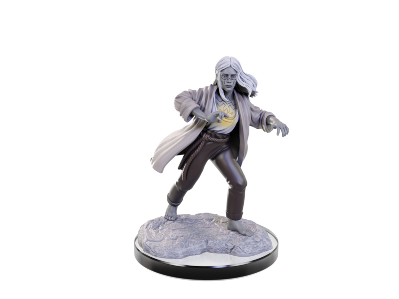 Wizkids D&D Unpainted Minis Wv22 Reborn Paladin/warlock
