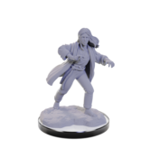 Wizkids D&D Unpainted Minis Wv22 Reborn Paladin/warlock