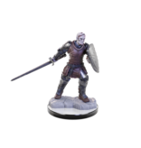 Wizkids D&D Unpainted Minis Wv22 Reborn Paladin/warlock