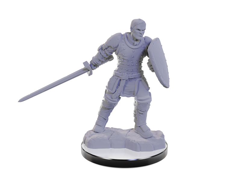 Wizkids D&D Unpainted Minis Wv22 Reborn Paladin/warlock