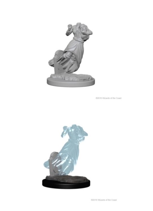 D&D Unpainted Minis Wv1 Ghosts