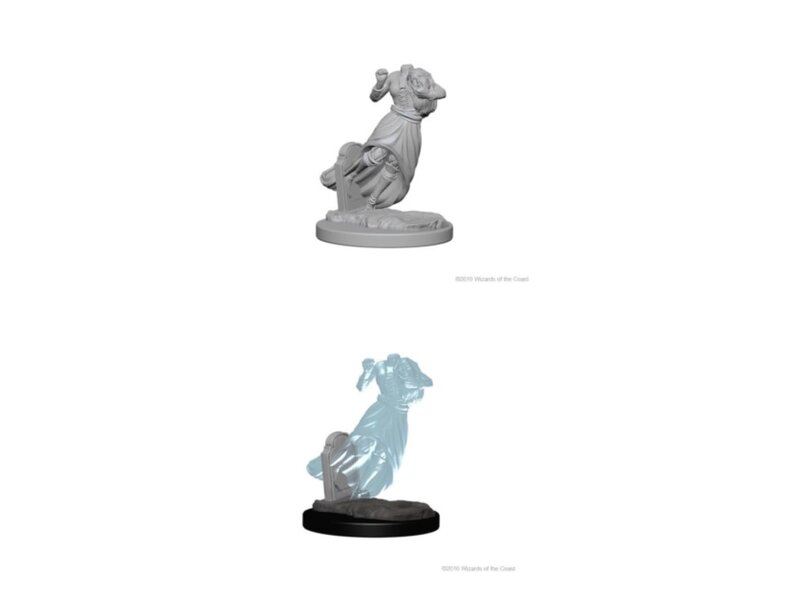 Wizkids D&D Unpainted Minis Wv1 Ghosts