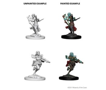 D&D Unpainted Minis Wv4 Air Genasi Female Rogue