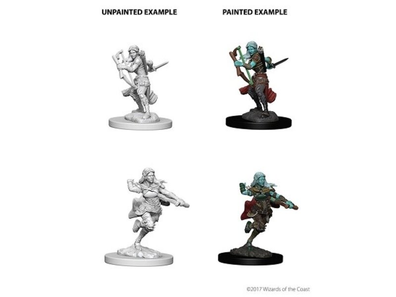 Wizkids D&D Unpainted Minis Wv4 Air Genasi Female Rogue