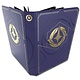 Disney Lorcana Portfolio Branded Premium