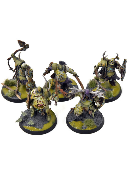 MAGGOTKIN OF NURGLE 5 Putrid Blightkings #1 Converted WELL PAINTED Sigmar