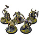 MAGGOTKIN OF NURGLE 5 Putrid Blightkings #1 Converted WELL PAINTED Sigmar