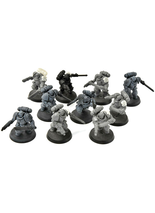 SPACE WOLVES 10 Assault Intercessors #1 Warhammer 40K